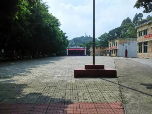 爸妈给我报名参加黄埔军校夏令营(军训感悟)