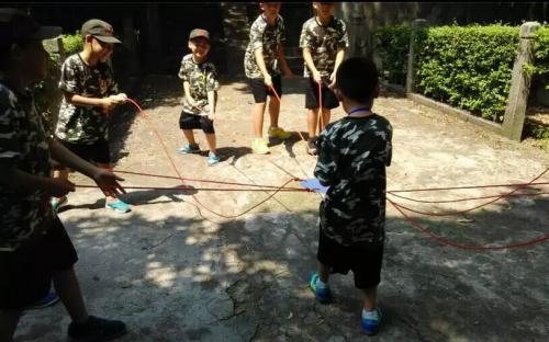 养而不教,花自凋零方惊觉